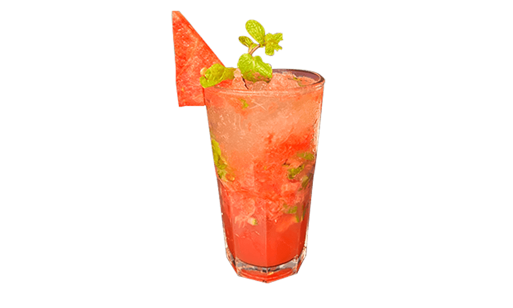 Watermelon Mojito
